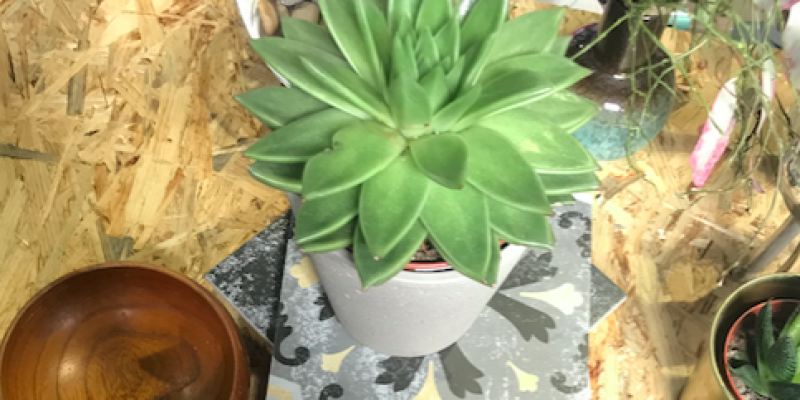 Bildschirmfoto-2019-05-09-um-185409